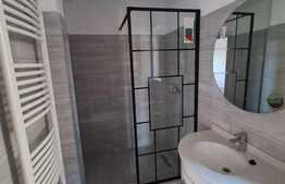 Vila 4 camere, 234 mp teren, Domnesti!