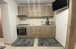 Garsoniera de lux, zona Campia Libertatii, Titan