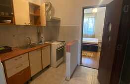 Garsoniera, 31,5 mp, curte proprie, Campia Libertatii Titan