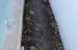 Apartament de 2 camere, 59 mp, gradina si terasa, Bucurestii Noi