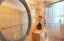 Casa 6 camere, 163 mp, partial mobilata, zona Piata Gemeni