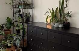 Apartament de 2 camere, 60 mp, Policlinica Vitan 