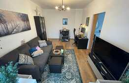 Apartament superb de 2 camere, 47 mp, izolat exterior, Iancului