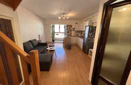 Apartament 2 camere, 57 mp, Auchan Vitan