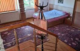 Vila spatioasa, 330 mp utili, garaj, zona Crangasi! 