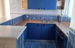 Vila spatioasa, 330 mp utili, garaj, zona Crangasi! 