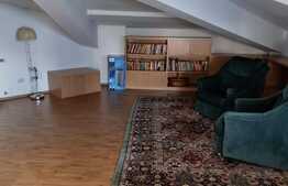 Vila spatioasa, 330 mp utili, garaj, zona Crangasi! 