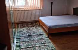 Vila spatioasa, 330 mp utili, garaj, zona Crangasi! 