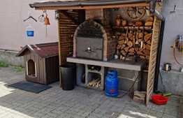 Vila spatioasa, 330 mp utili, garaj, zona Crangasi! 