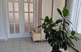 Vila spatioasa, 330 mp utili, garaj, zona Crangasi! 