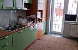 Vila spatioasa, 330 mp utili, garaj, zona Crangasi! 