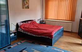 Vila spatioasa, 330 mp utili, garaj, zona Crangasi! 