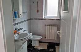 Vila spatioasa, 330 mp utili, garaj, zona Crangasi! 