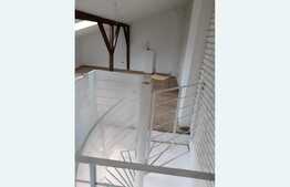 Investitie! 2 vile de vanzare, singur in curte, zona Basarab!