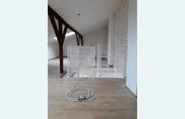 Investitie! 2 vile de vanzare, singur in curte, zona Basarab!