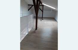 Investitie! 2 vile de vanzare, singur in curte, zona Basarab!