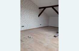 Investitie! 2 vile de vanzare, singur in curte, zona Basarab!