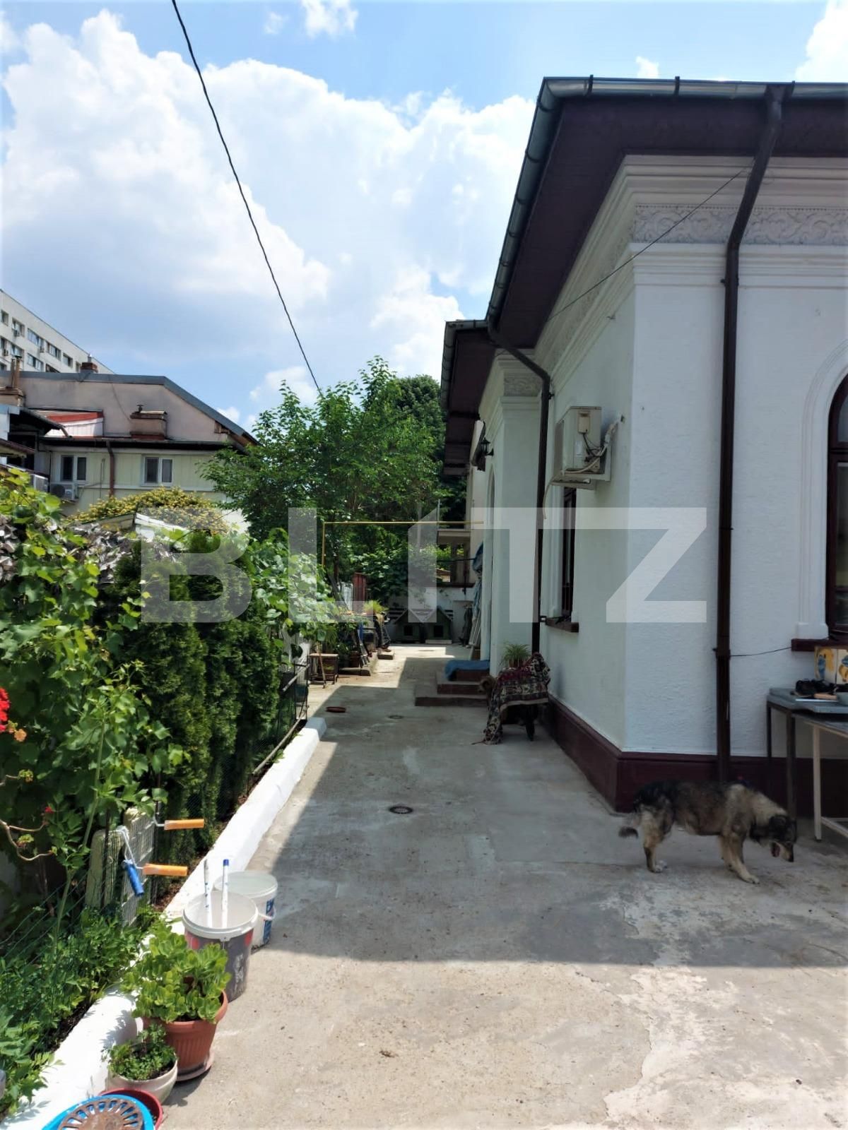 Casa de vânzare 7 camere Iancului - 82277CV | BLITZ București | Poza5