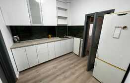 Apartament de 2 camere, 46 mp, terasa 50 mp, zona Unirii