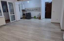 Apartament 2 camere, 50 mp, recent renovat, Parcul Carol 