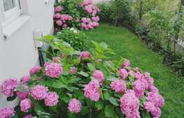 Apartament 3 camere cu gradina, 86mp, zona Titan - Oportunitate!