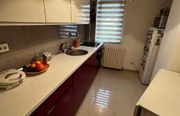 Apartament de 2 camere, lux, 51 mp, parter înalt, zona Stirbei