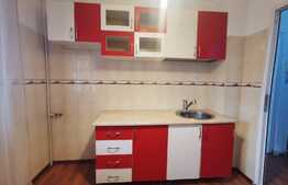 Apartament de 2 camere, 48 mp, 2 balcoane, etaj intermediar, zona Băneasa