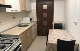 Apartament spatios, 2 camere, 110 mp, Militari