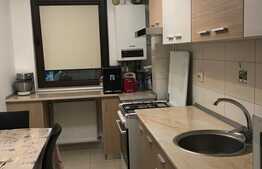 Apartament spatios, 2 camere, 110 mp, Militari