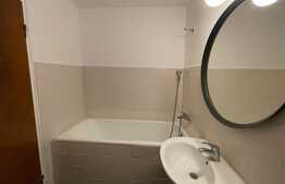 Apartament 2 camere, 55 mp, decomandat, Constantin Brinconveanu