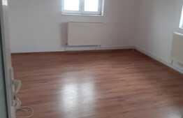 Vila perfecta pentru locuit sau birou, 260 mp, in Vitan