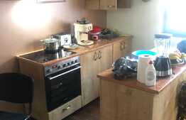 Casa de vanzare plus 3 business-uri la cheie, zona Mega Mall