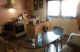 Casa de vanzare plus 3 business-uri la cheie, zona Mega Mall