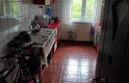 Apartament 4 camere, 83 mp, zona Costin Georgian