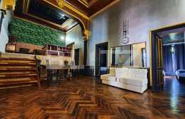 Vilă interbelică, 815 mp, 25 camere, centrală proprie, saună, ciubăr, Romană