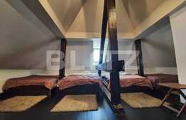 Vilă interbelică, 815 mp, 25 camere, centrală proprie, saună, ciubăr, Romană