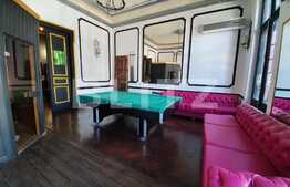 Vilă interbelică, 815 mp, 25 camere, centrală proprie, saună, ciubăr, Romană