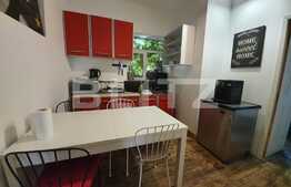 Vilă interbelică, 815 mp, 25 camere, centrală proprie, saună, ciubăr, Romană