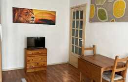 Garsonieră ideală pentru investiție, curte, loc de parcare, zona Băneasa