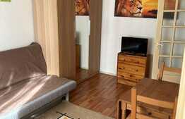 Garsonieră ideală pentru investiție, curte, loc de parcare, zona Băneasa