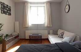 Studio lux, 36 mp, in vila, zona Capitale!