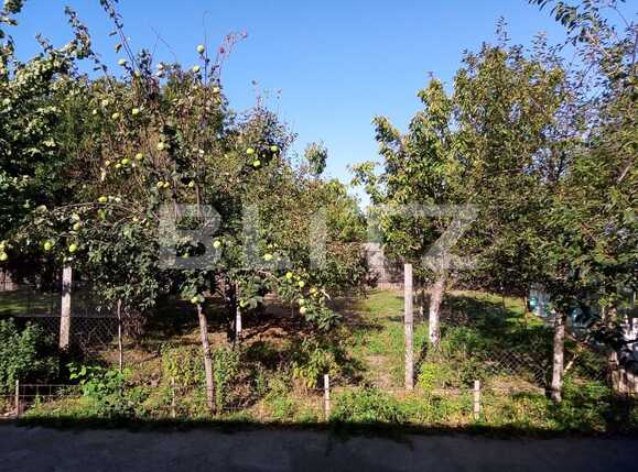 Casa de vânzare 10 camere Darvari - 83449CV | BLITZ București | Poza4