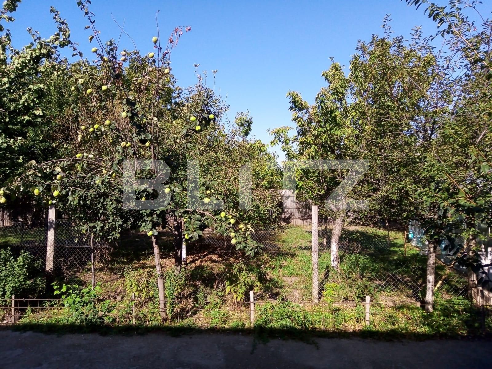 Casa de vânzare 10 camere Darvari - 83449CV | BLITZ București | Poza4