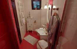 Apartament de 3 camere, boxa, zona Damaroaia