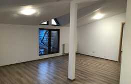 Apartament de 2 camere, 53 mp, terasa, zona Bucurestii Noi 