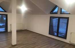 Apartament de 2 camere, 53 mp, terasa, zona Bucurestii Noi 