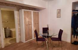 Garsonieră de 46 mp, centrală proprie, parcare, pe malul Lacului Băneasa