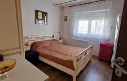 Apartament 2 camere, 55 mp, etaj intermediar, Promenada