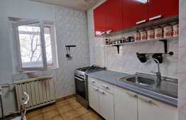 Apartament 2 camere, 55 mp, etaj intermediar, Promenada