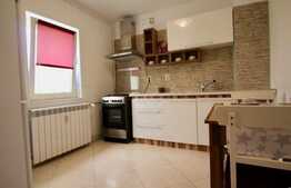 Garsoniera spatioasa, 40 mp, zona Dristor